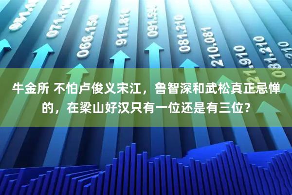 牛金所 不怕卢俊义宋江，鲁智深和武松真正忌惮的，在梁山好汉只有一位还是有三位？