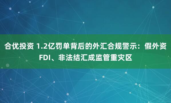 合优投资 1.2亿罚单背后的外汇合规警示：假外资FDI、非法结汇成监管重灾区