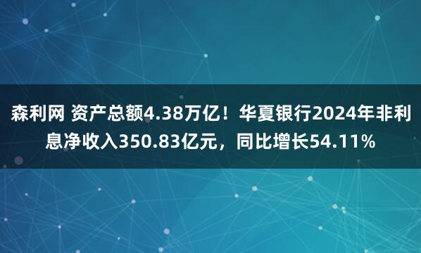 森利网 资产总额4.38万亿!华夏银行2024年非利息净收入350.83亿元,同比增长54.11%